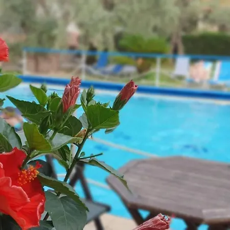 Tsigoura Hotell Mikros Prinos